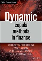 Dynamic Copula Methods in Finance