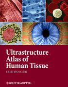 Ultrastructure Atlas Of Human Tissues