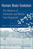 Human Brain Evolution: The influence of freshwater and marine food resources