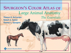 Spurgeon's Color Atlas of Large Animal Anatomy:The Essentials