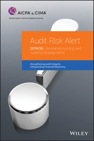 Audit Risk Alert - General Accounting and Auditing Developments 2019/2020