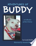 Adventures of Buddy