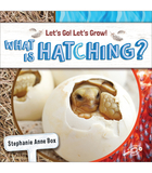 What Is Hatching?