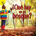 ¿Qué hay en el bosque?