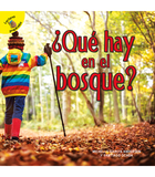 ¿Qué hay en el bosque?