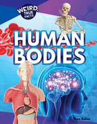 Human Bodies