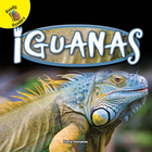 Iguanas