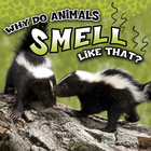 Why Do Animals Smell Like That?