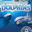 Social Lives of Dolphins