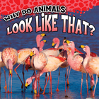 Why Do Animals Look Like That?