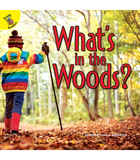 What's in the Woods?