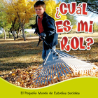 ¿Cuál es mi rol?