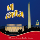 Mi capital