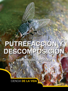 Putrefacción y descomposición