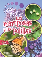 Ciclos de vida de las mariposas y las polillas