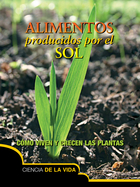 Alimentos producidos por el sol