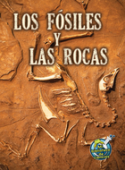 Los fósiles y las rocas