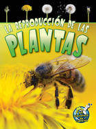 La reproducción de las plantas