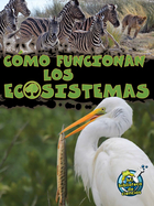 Cómo funcionan los ecosistemas