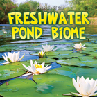 Seasons Of The Freshwater Pond Biome