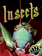 Insects