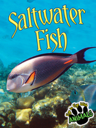 Saltwater Fish