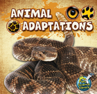 Animal Adaptations