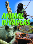 Animal Invaders