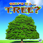 What's in a… Tree?