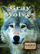 Gray Wolves