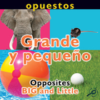 Opuestos: Grande y pequeño