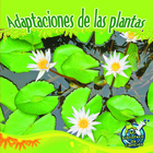 Adaptaciones de las plantas