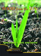 Food From The Sun