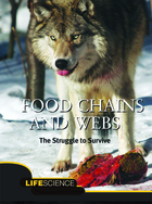 Food Chains and Webs