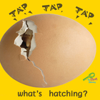 Tap, Tap, Tap… What's Hatching?