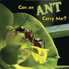 Can an Ant Carry Me?