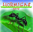 Hormigas