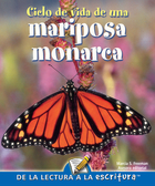 Ciclo de vida de una mariposa monarca