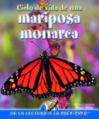 Ciclo de vida de una mariposa monarca