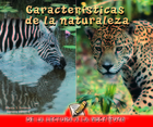 Caracteristicas de la naturaleza