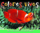 Colores vivos