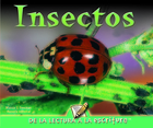 Insectos