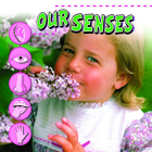 Our Senses