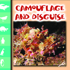 Camouflage and Disguise