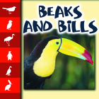 Beaks and Bills