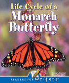 Life Cycle of A Monarch Butterfly