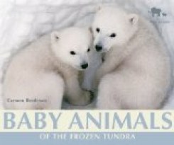 Baby Animals of the Frozen Tundra
