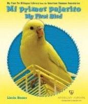 Mi primer pajarito/My First Bird