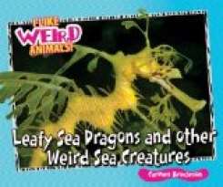 Leafy Sea Dragons and Other Weird Sea Creatures