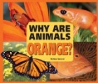 Why Are Animals Orange?